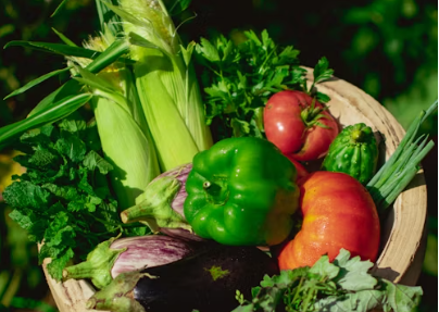 제철 음식으로 건강 챙기기: 계절별 영양소 가이드 (관련이미지)